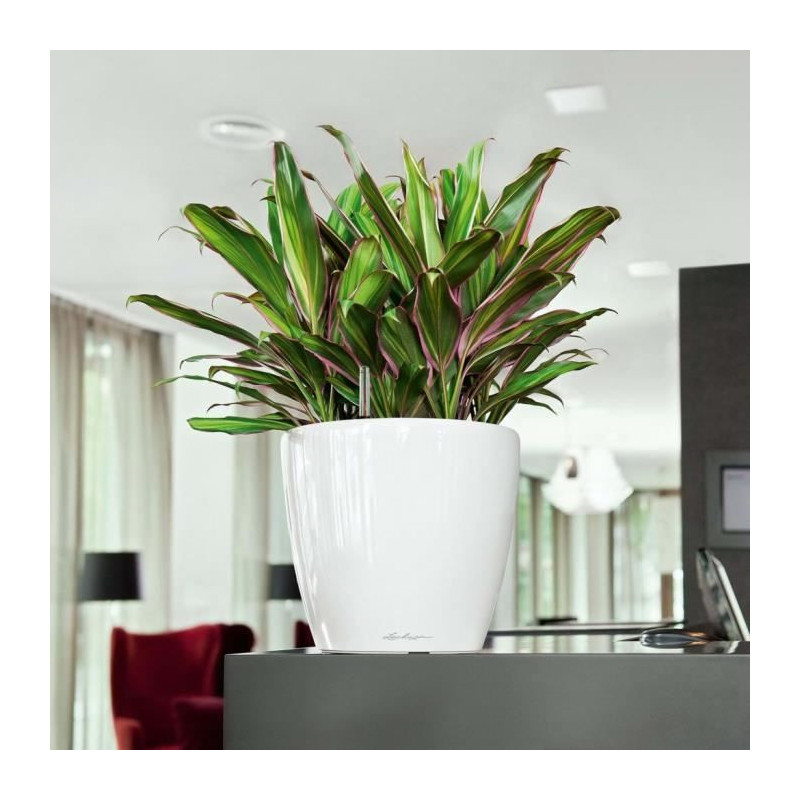 Jardiniere - Classico premium LS 28 - Complete kit - Glossy white - 7