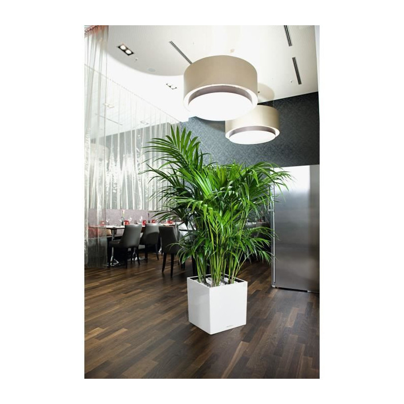Planter - Cube premium 40 - Complete kit - Glossy white - 31 L - LECHU