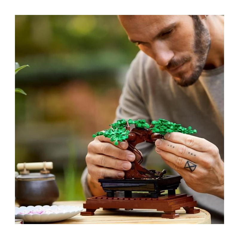 LEGO Creator Expert 10281 Bonsai Creative Hobby for Adults, DIY Botani