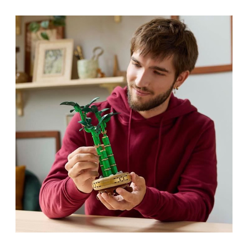 LEGO Botany 10344 Lucky Bamboo - Artificial Plant and Home Decor