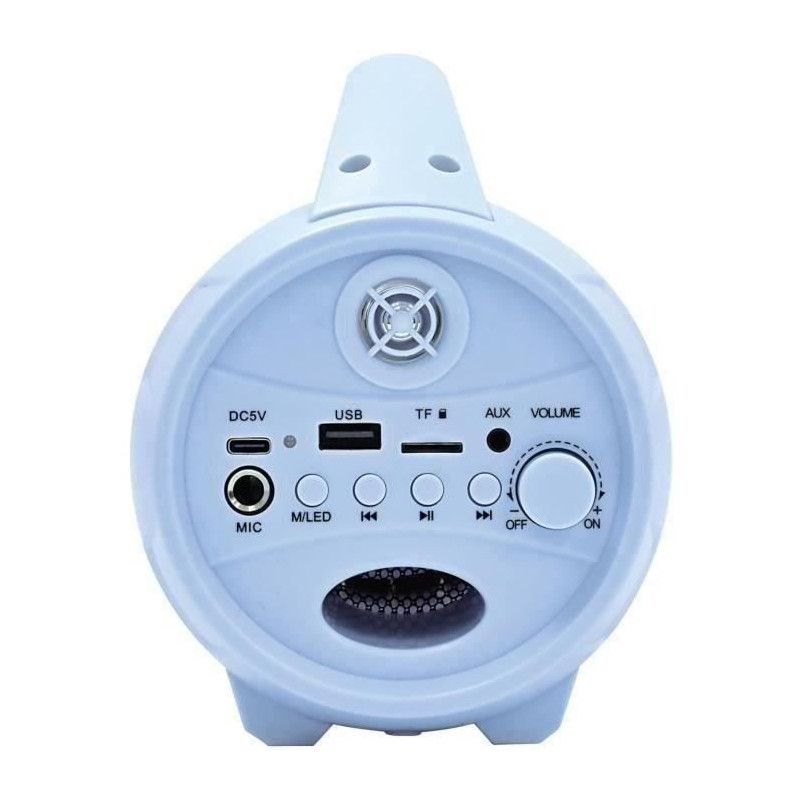 Frozen Wireless Bluetooth Speaker with Microphone