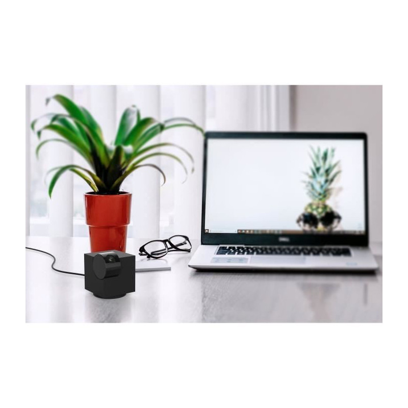Wi-Fi Camera - LINK2HOME - Motorized, HD 1080P, Night Vision, IP65