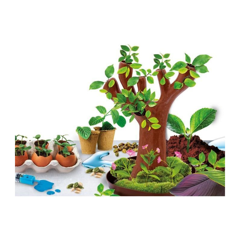 Génius Science - scientific game - botany - LISCIANI