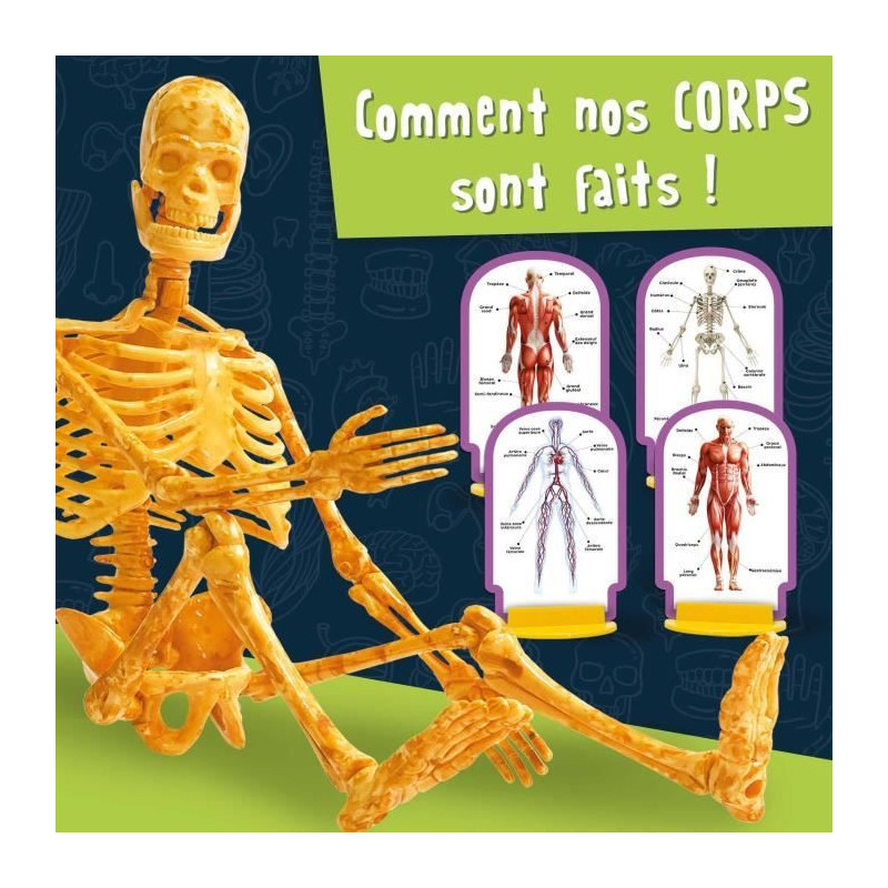 Human Body Discovery - Science Kit - I'M A GENIUS POCKET - 3D Model