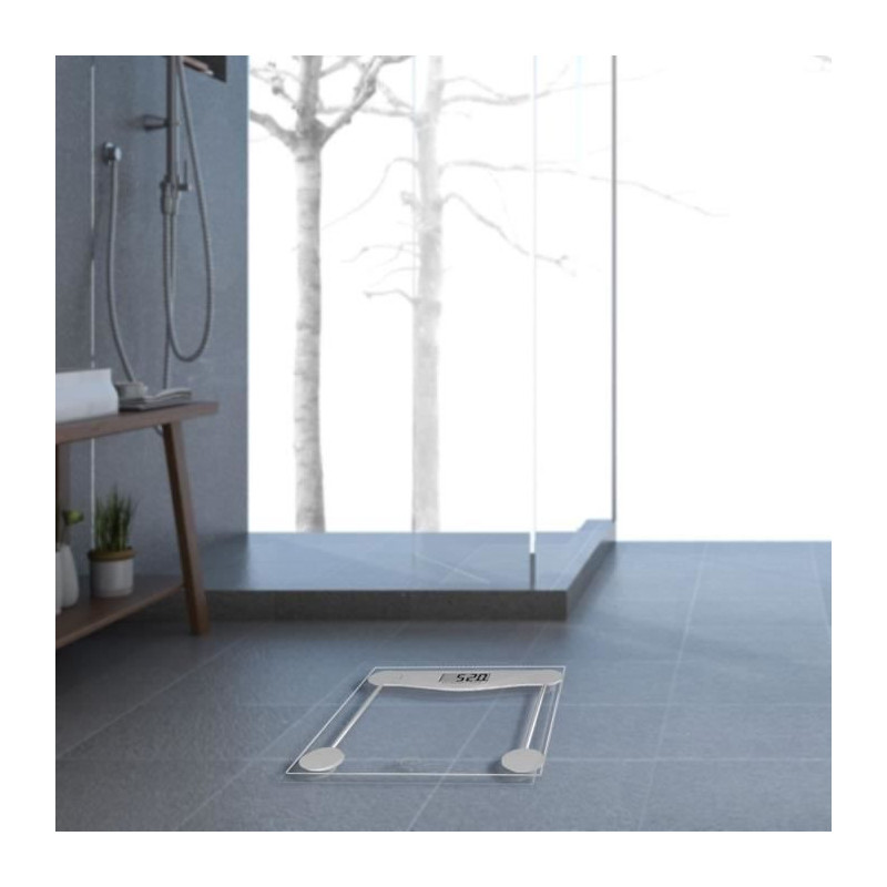 LITTLE BALANCE 8193 SB2 Electronic, Electronic weighing scale, Transpa