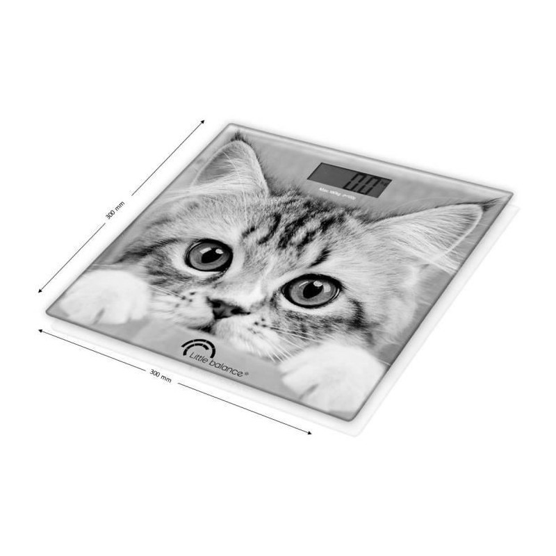 Weighs The Cat 180kg 100g