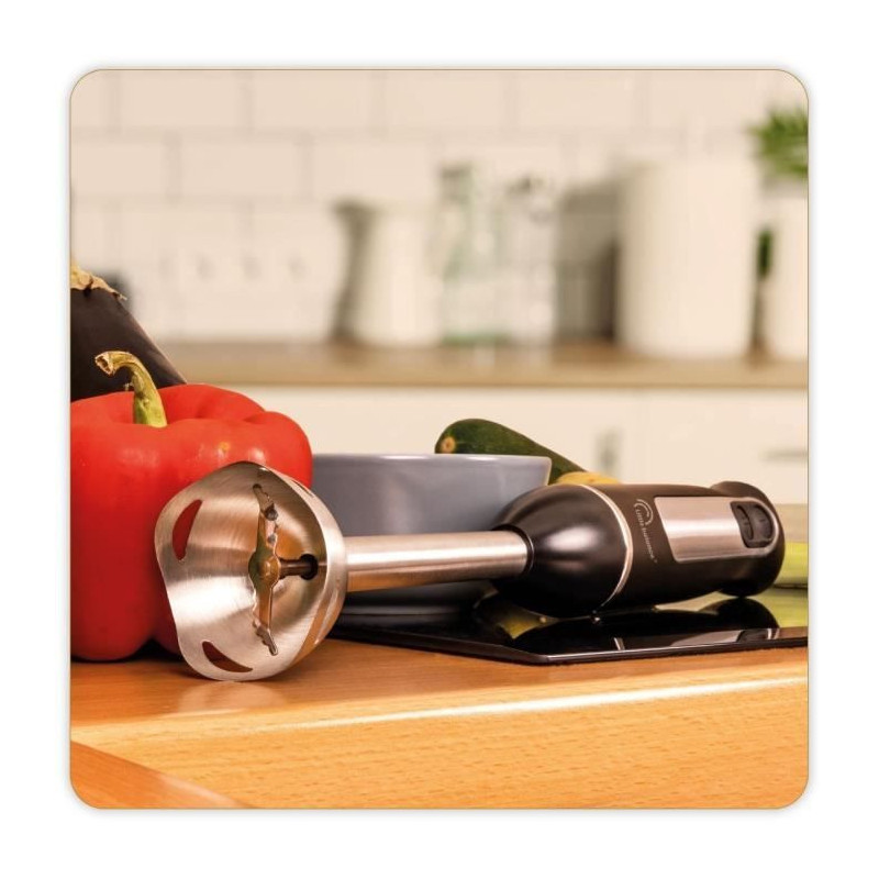 Speed Inox 600 hand blender