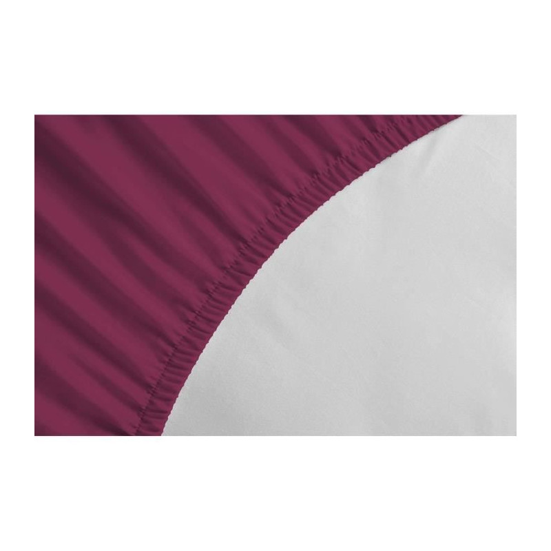 Fitted sheet - LOVELY HOME - LH71611 - 160x200+30 cm - Fuchsia