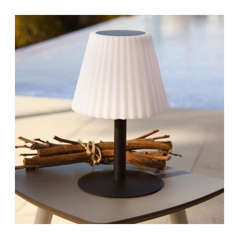 2 in 1 solar table lamp to plant or place - LUMISKY - BOUFFANT - H62 c
