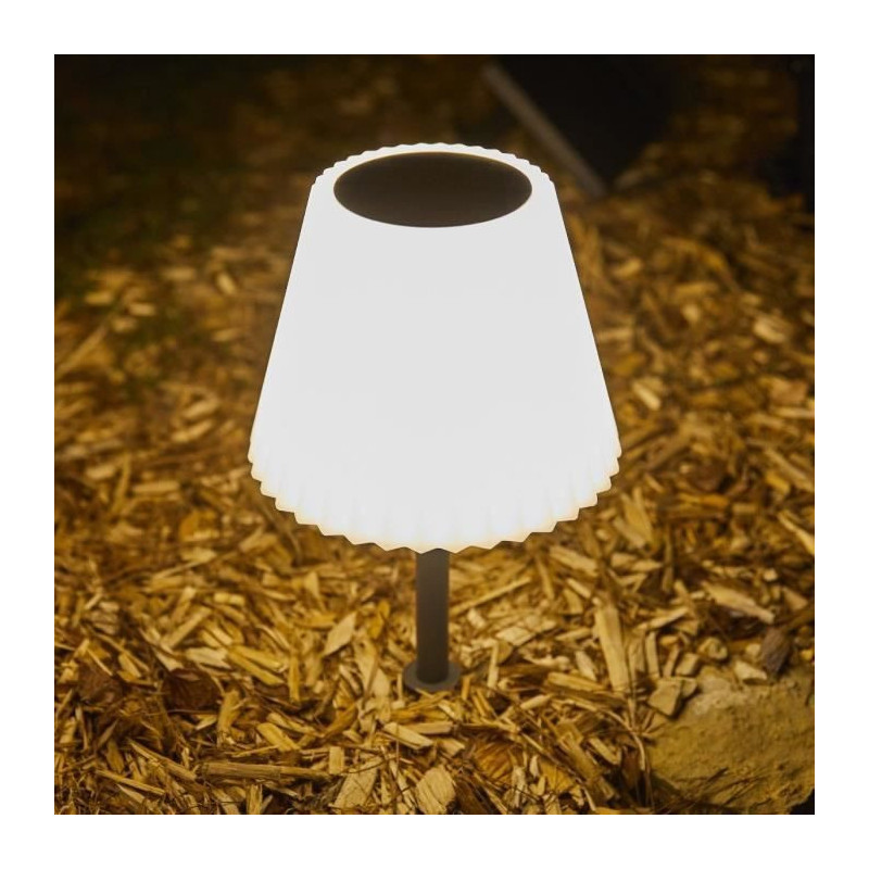 2 in 1 solar table lamp to plant or place - LUMISKY - BOUFFANT - H62 c