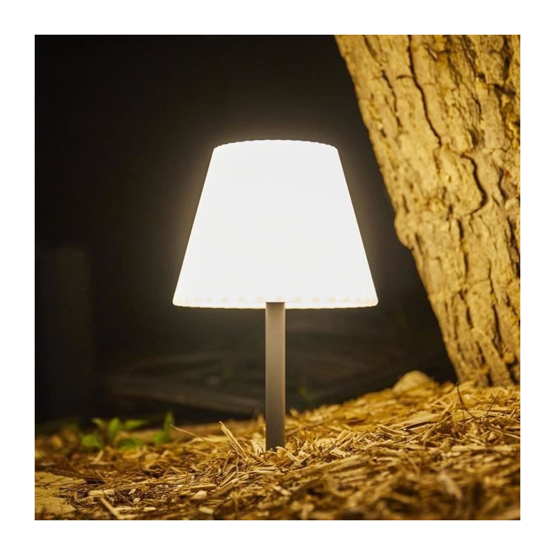 2 in 1 solar table lamp to plant or place - LUMISKY - BOUFFANT - H62 c
