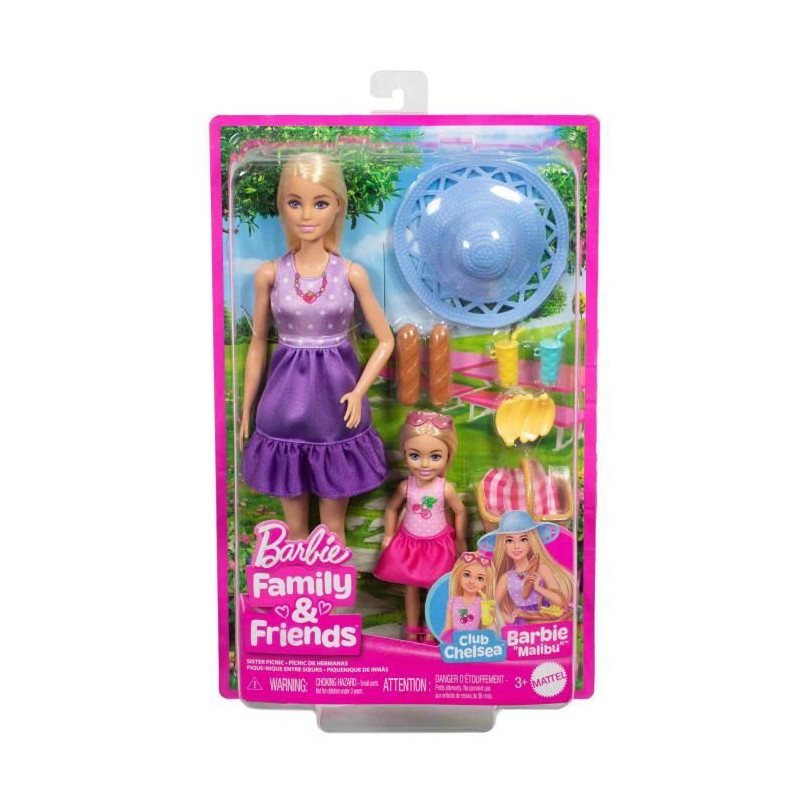 BARBIE AND CHELSEA BOX SET
