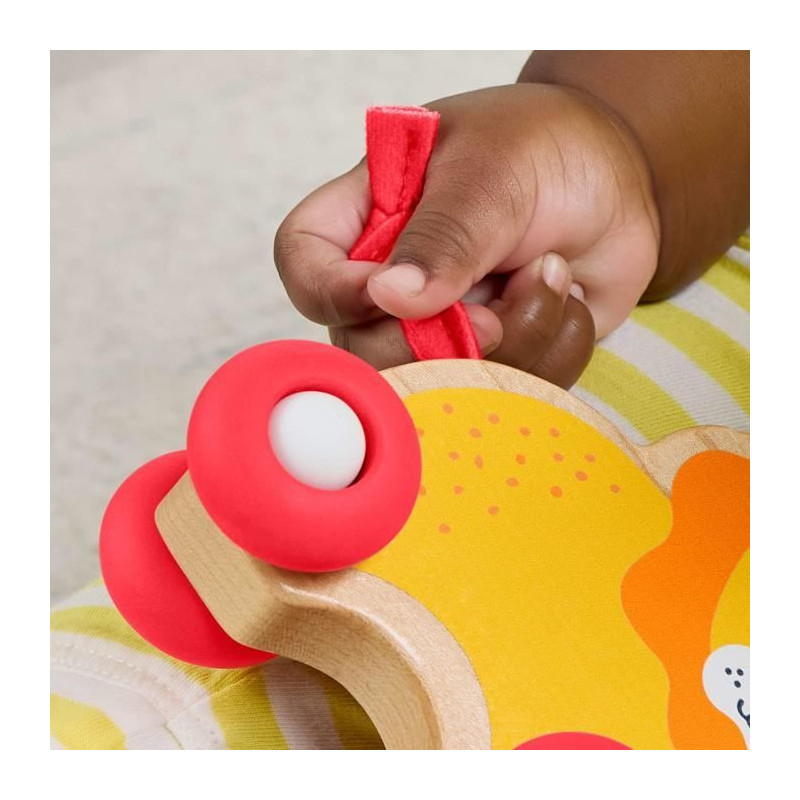 FISHER-PRICE Wooden push animals bones - JFN19