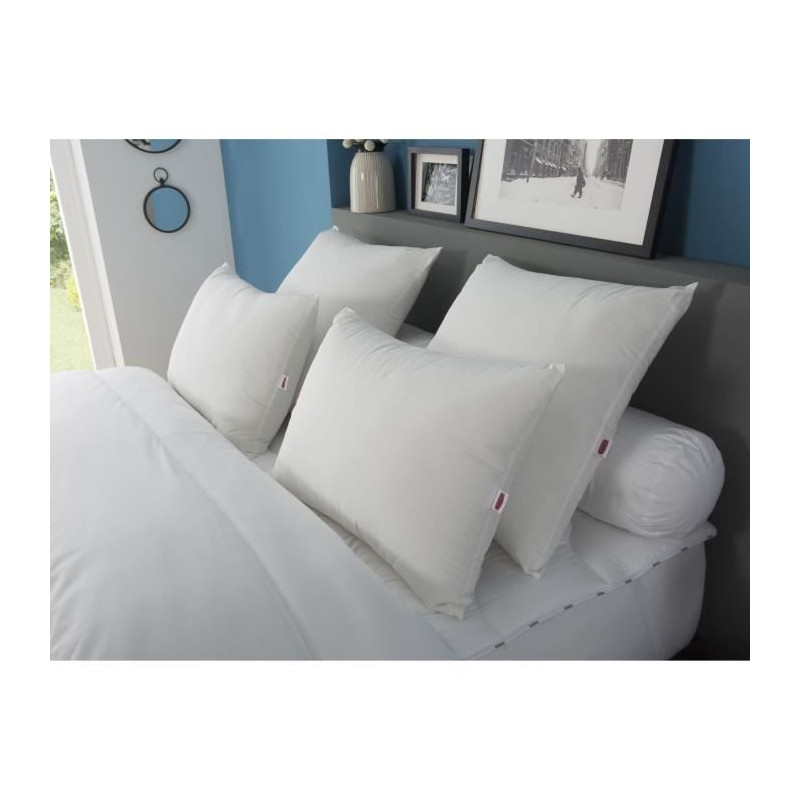 Dodo pillow with memory memory - 60 x 60 cm