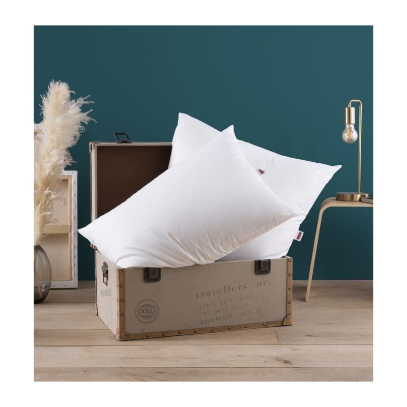 Dodo pillow with memory memory - 60 x 60 cm
