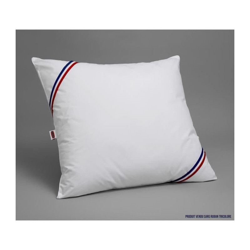 Dodo pillow with memory memory - 60 x 60 cm
