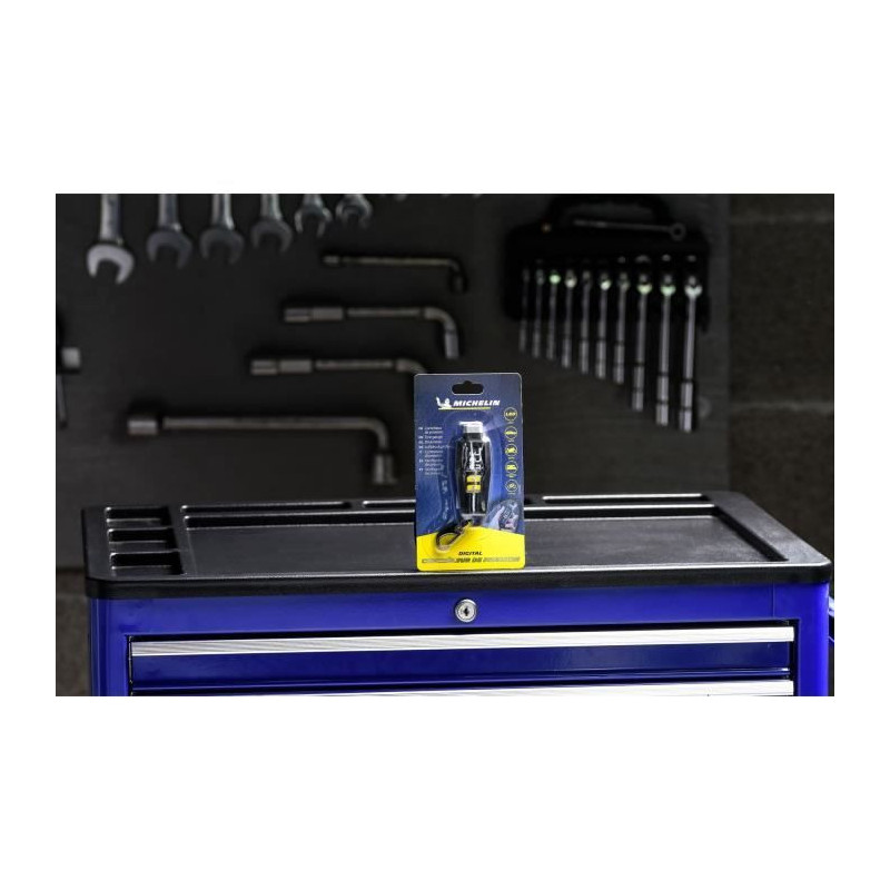 Digital pressure controller - MICHELIN - 9525 - From 0.05 bars to 7 ba