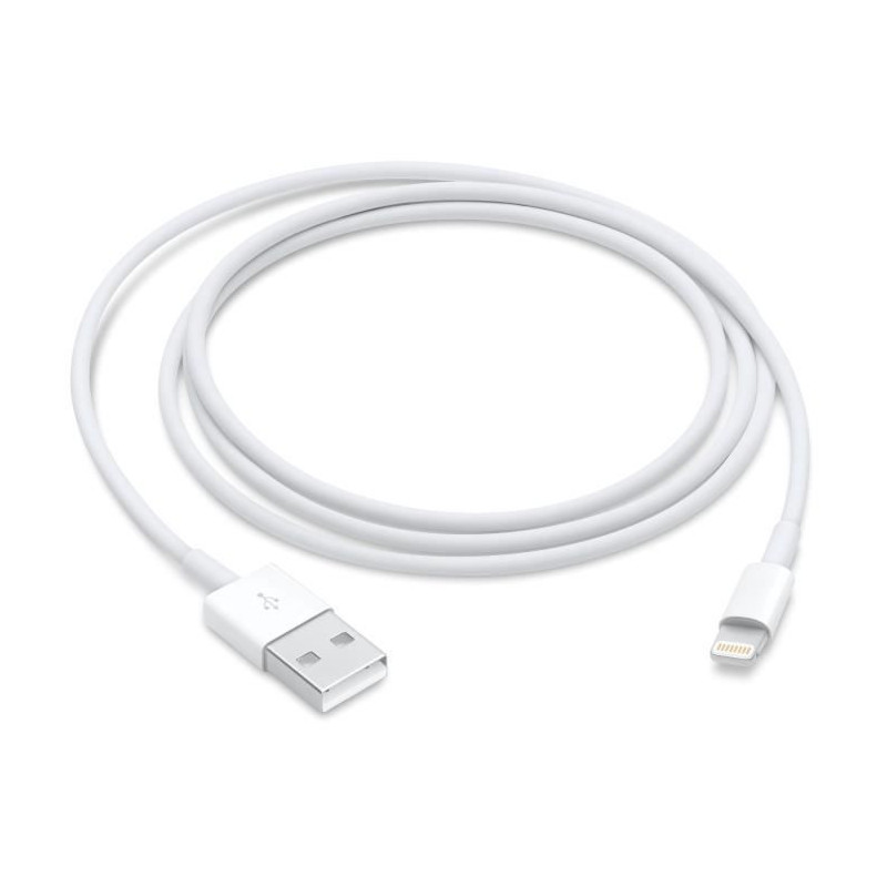 Lightning to USB cable - APPLE - 1 m