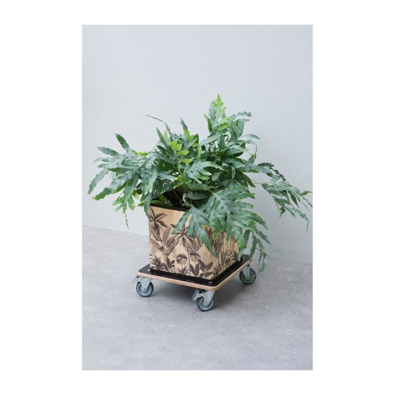 Nature Square plant trolley 38x38 cm black wood 446407