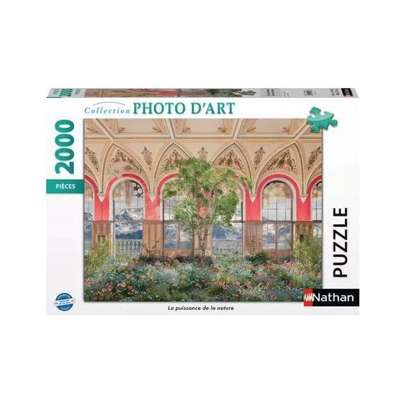 Nathan puzzle 2000 p The