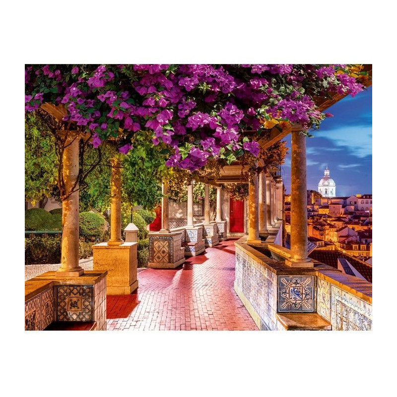 Nathan puzzle 2000 p The