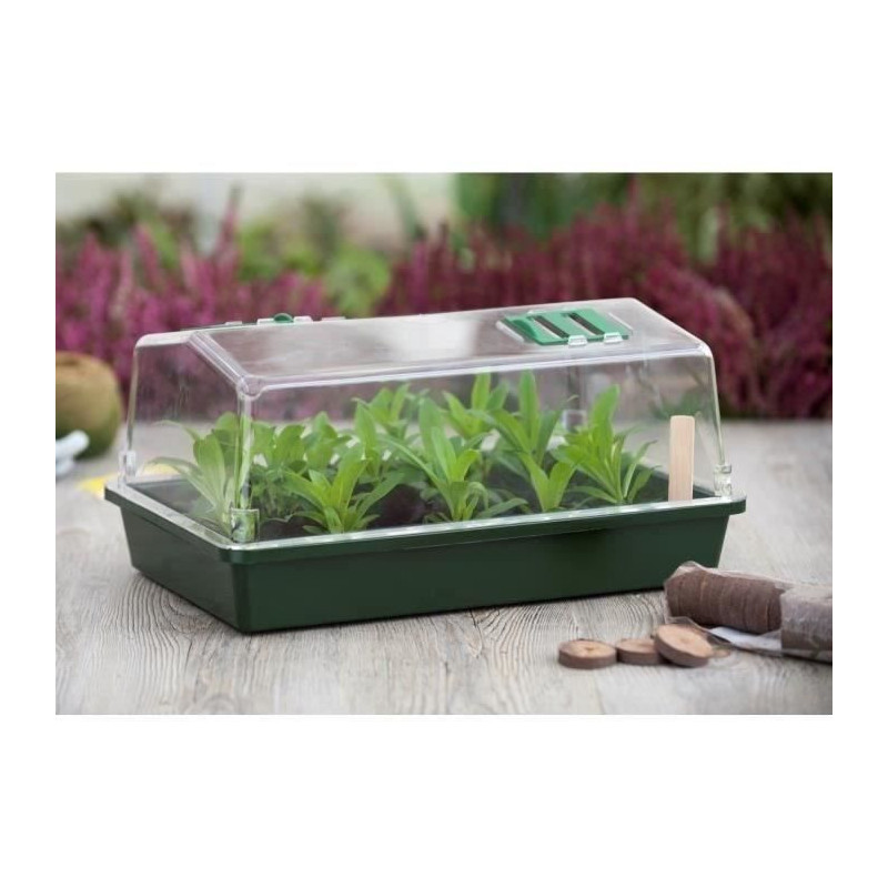 Mini greenhouse terrine and ventilated lid 37x24x18 xm