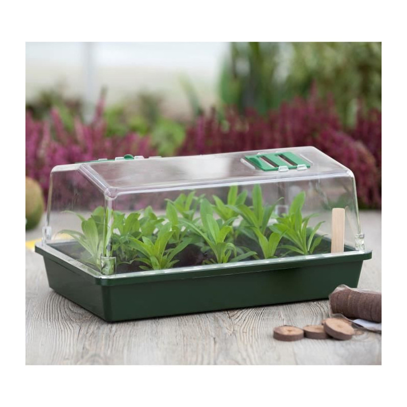 Mini greenhouse terrine and ventilated lid 37x24x18 xm