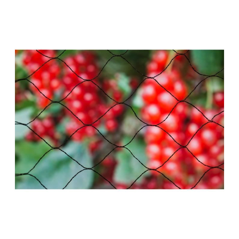 Primo 5x2m anti-bird nets in knitted polyethylene knitting 12gr/m² bl
