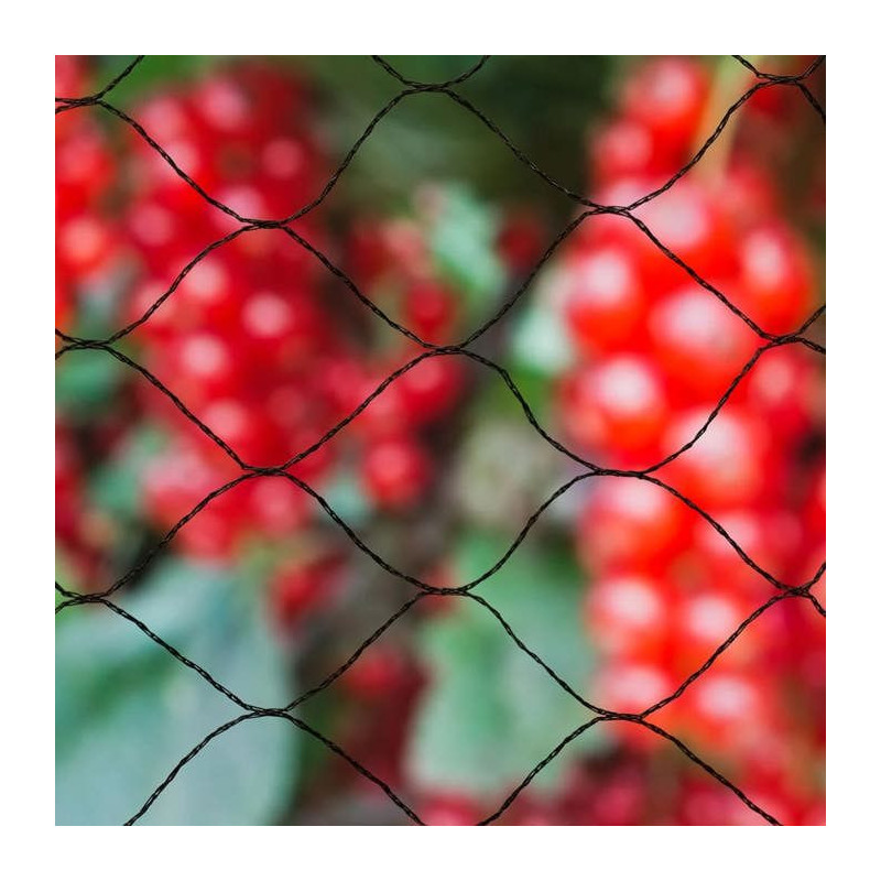 Anti-bird net NATURE Primo 10 x 10 m Black