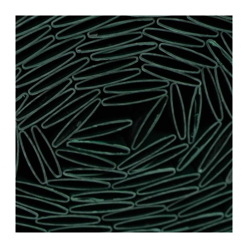 Double-sided PVC reed screen - NATURE - 1 x 3 m - 1600 g/m² - Blackou