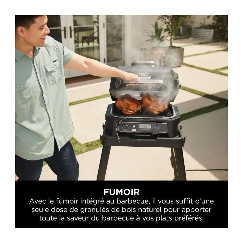 Electric barbecue and smoker with thermometer - NINJA - Woodfire Pro X
