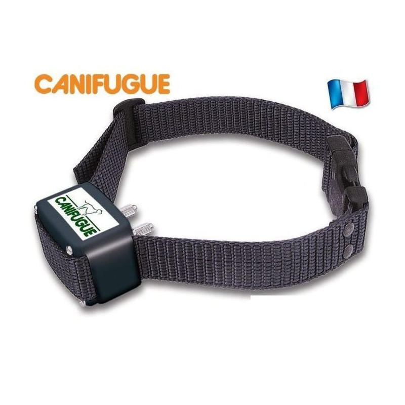 CANIFUGUE Fence and collar for dogs