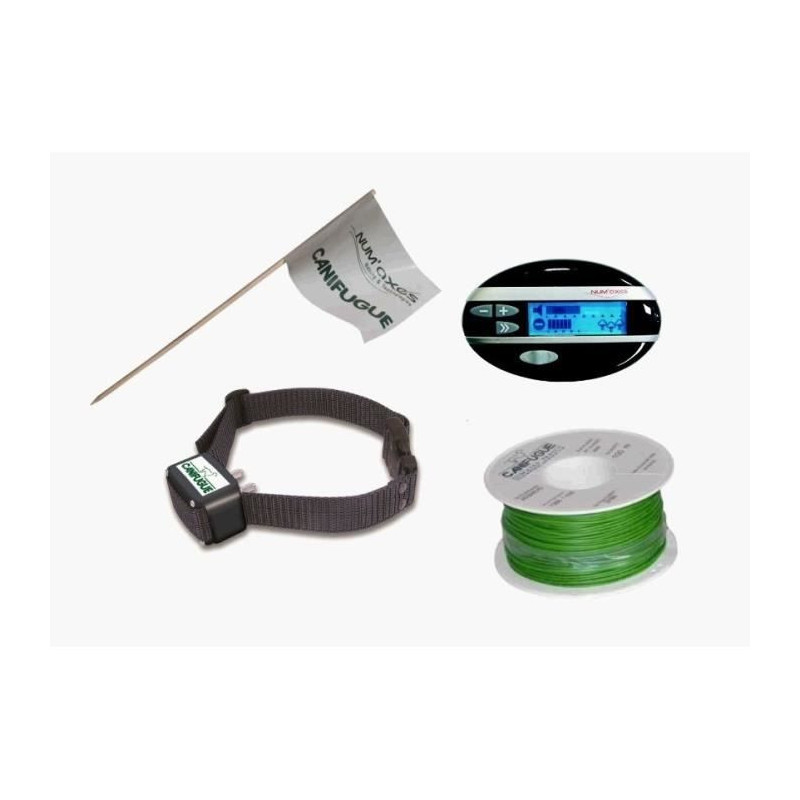 Set Canifugue Mix collar / fencing anti fugue