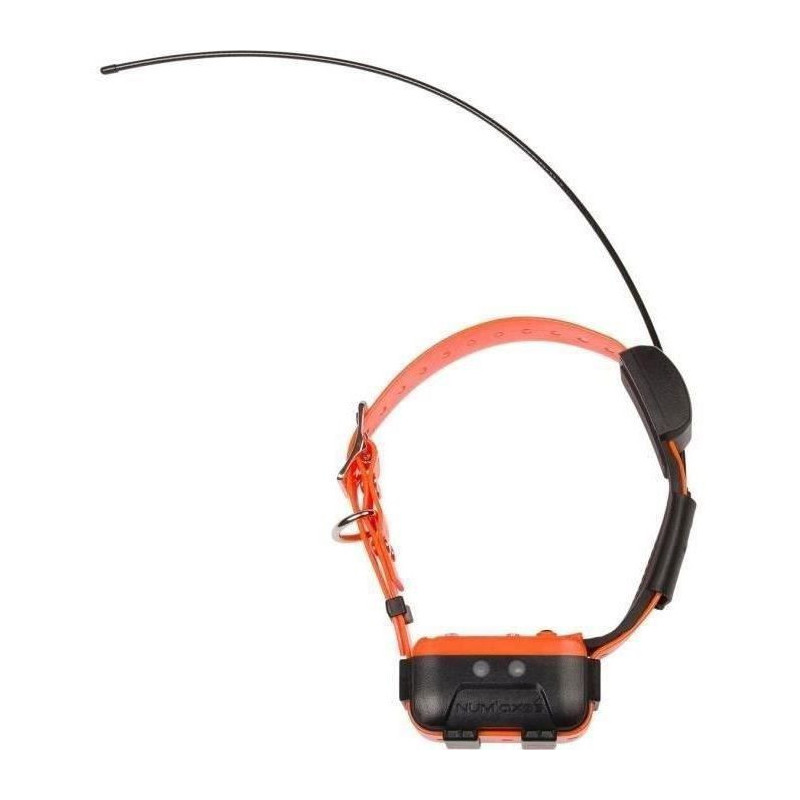 GPS collar - NUM'AXES - CANICOM GPS 2 - Collar only - Black / Orange