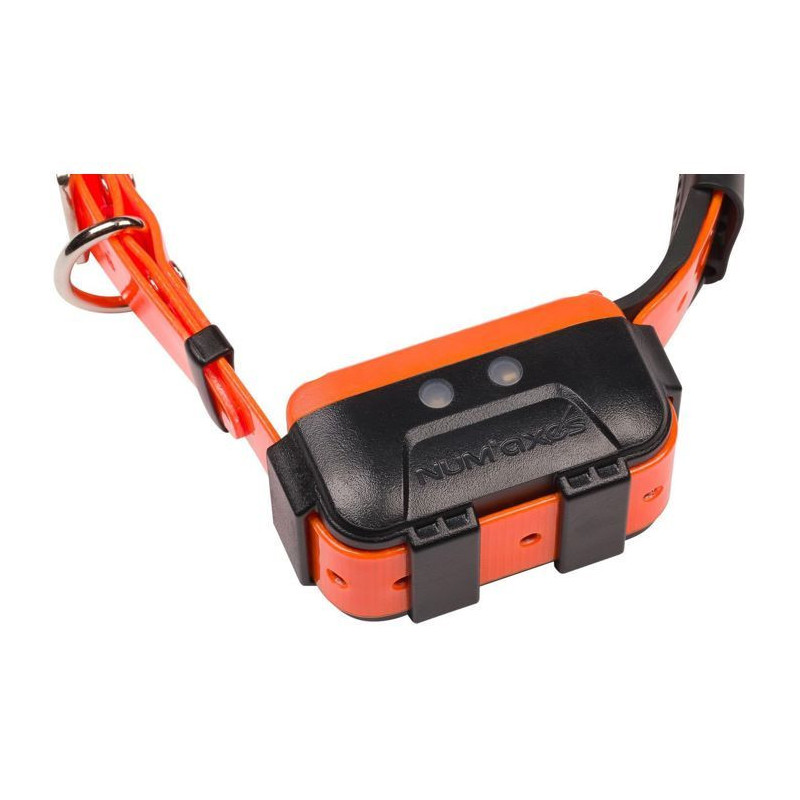 GPS collar - NUM'AXES - CANICOM GPS 2 - Collar only - Black / Orange