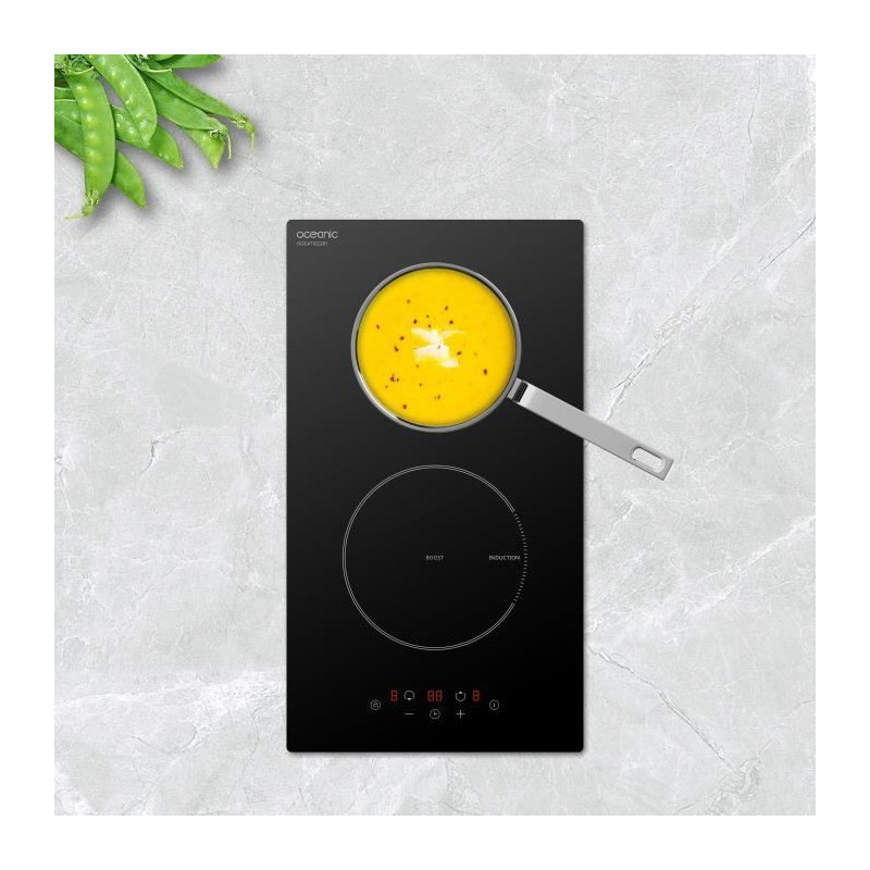 Oceanic Domino Built -in black induction