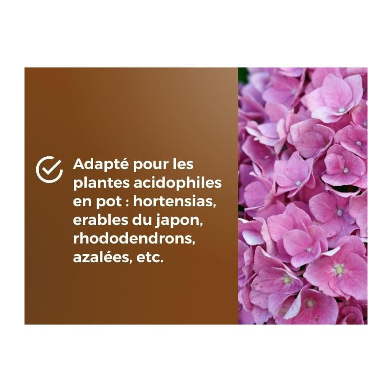 Special potting soil for heather plants - OR BRUN - OBRTBRU6U - 6L - B