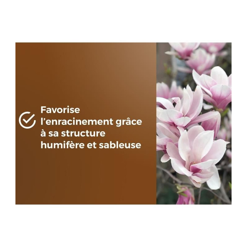 Special potting soil for heather plants - OR BRUN - OBRTBRU6U - 6L - B