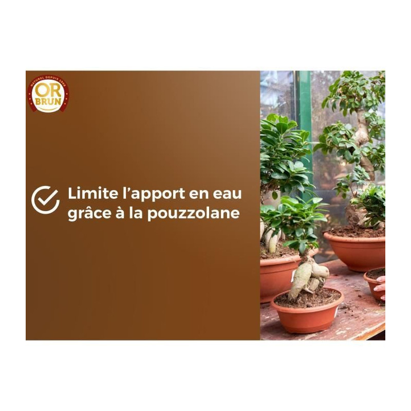 Bonsai soil - BROWN GOLD - OBRTBON6U - 6L - Better rooting