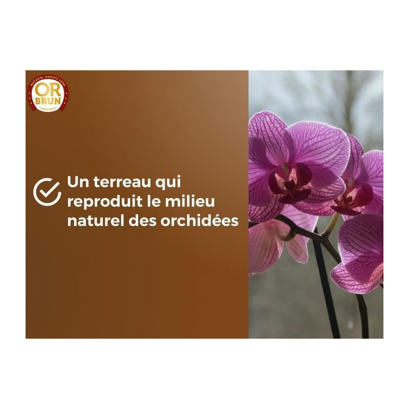 Orchid soil - BROWN GOLD - OBRTORC6U - 6L - Promotes growth