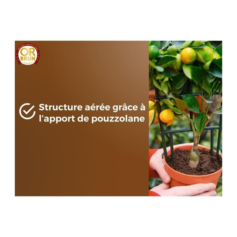 Citrus & Mediterranean Plants Soil - BROWN GOLD - OBRTAGR6U - 6L - Oli