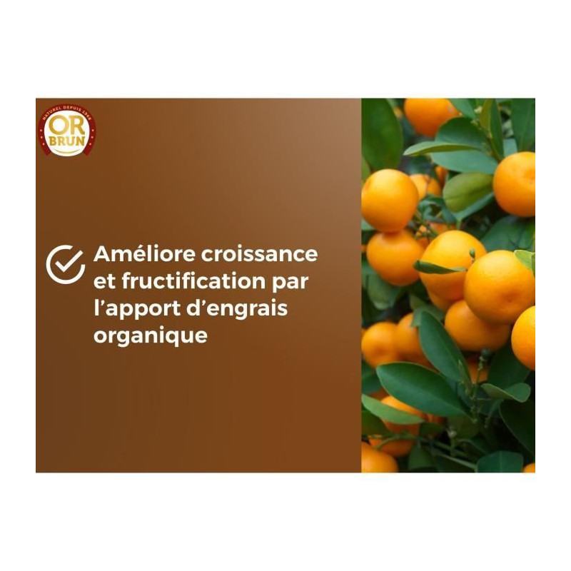 Citrus & Mediterranean Plants Soil - BROWN GOLD - OBRTAGR6U - 6L - Oli