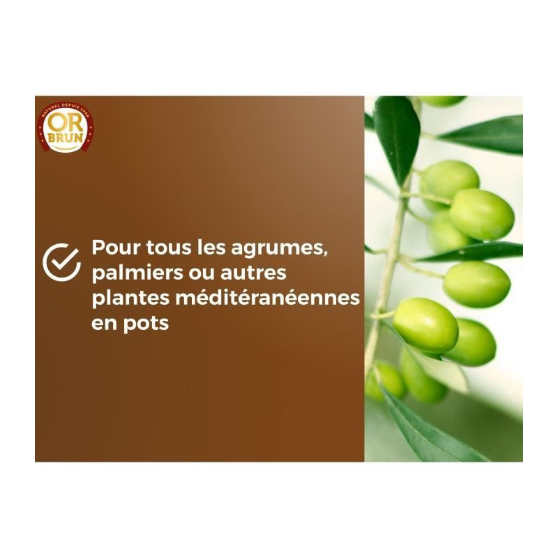 Citrus & Mediterranean Plants Soil - BROWN GOLD - OBRTAGR6U - 6L - Oli