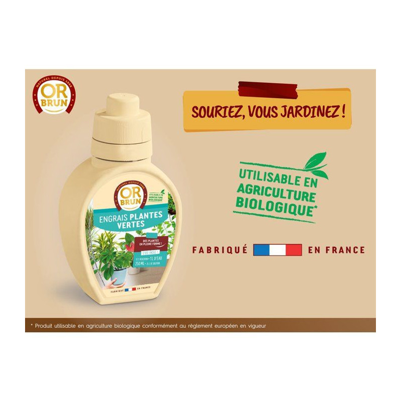 OR BRUN Fertilizer indoor / green plants 250 ml