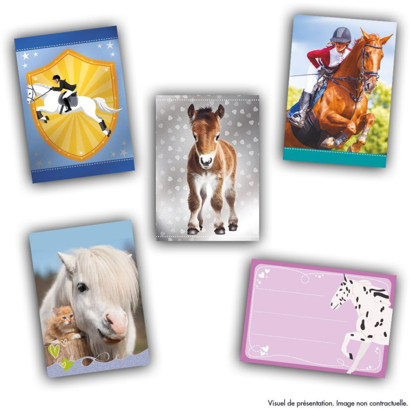 Sticker box - PANINI - Card collection for horse fans - Contains 24 po