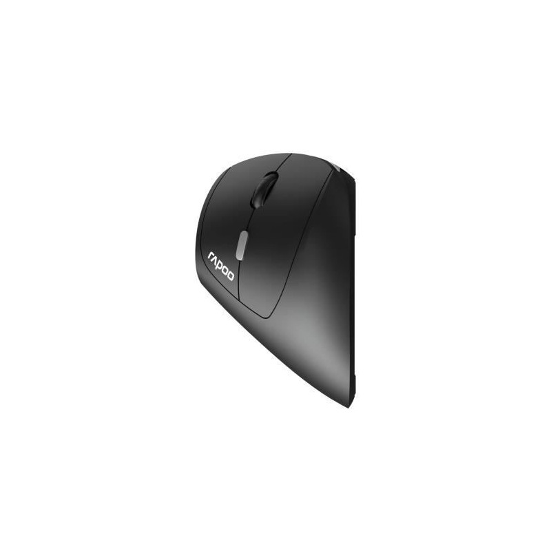 Wireless Mouse - RAPOO - EV250 - Ergonomic - 1600 DPI - Silent Click