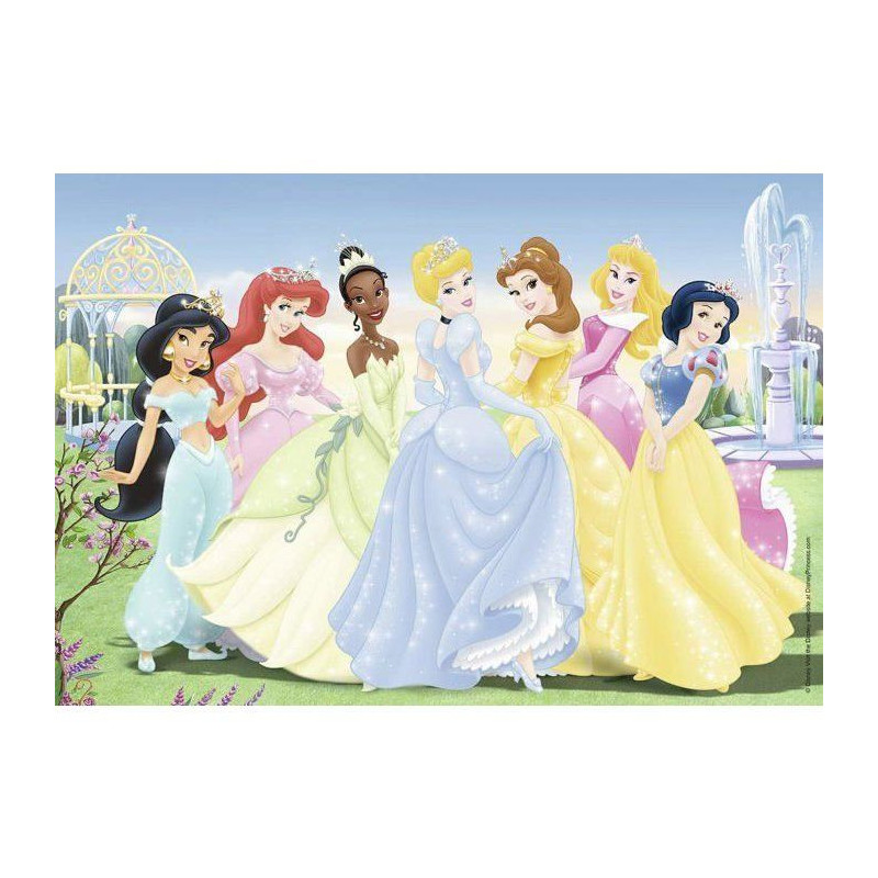 DISNEY PRINCESS Puzzle assembled princesses 2x24pcs