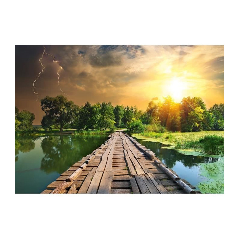 Puzzle 1000 pieces Mystical Light, Adults and children, Ages 14 and up
