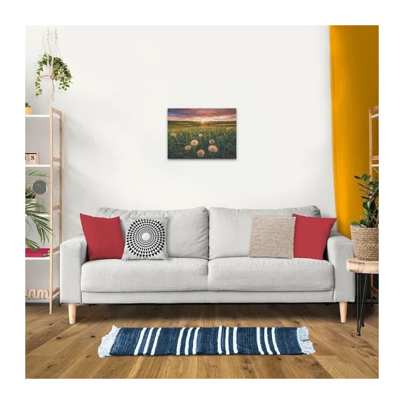 Puzzle 500 pieces Dandelions at dusk, Ages 12 and up, Premium quality