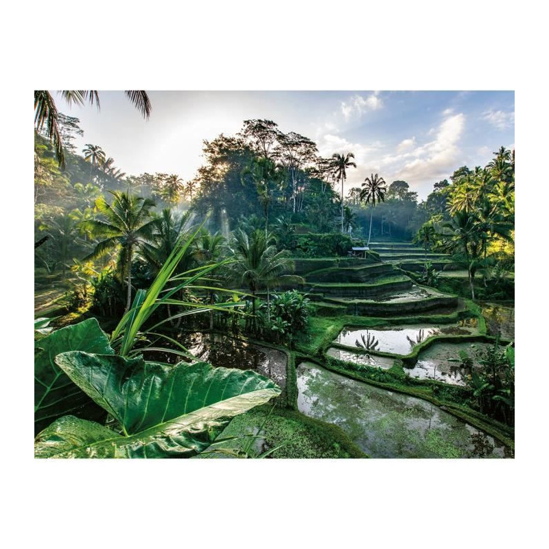 2000-piece puzzle In the heart of Bali, Adults and children from 14 ye